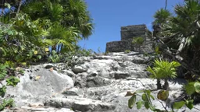 TULUM MEXICO-2015: Calm Tropical Rock Area With An Abundance Of Greenery