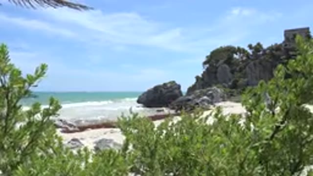TULUM MEXICO-2015: Blue Ocean Water Gray Rocks And Green Trees On A Clear Day