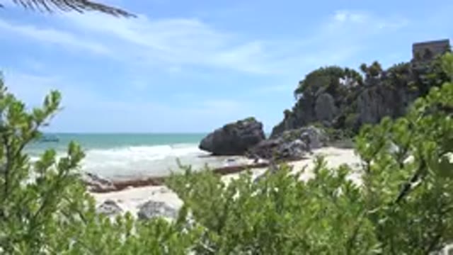 TULUM MEXICO-2015: Quiet Beach Wind Swaying Vegetation And Waves Crashing On