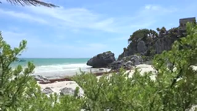 TULUM MEXICO-2015: Beach Side With Grass in Front of the Camera