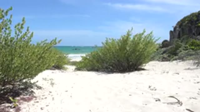 TULUM MEXICO-2015: A Beautiful Beach With Rocks And Bushes And Waves Of Ocean