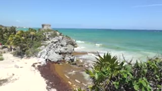 TULUM MEXICO-2015: Waves Roll Onto Shore Between Rocks And Tropical Plants Blue