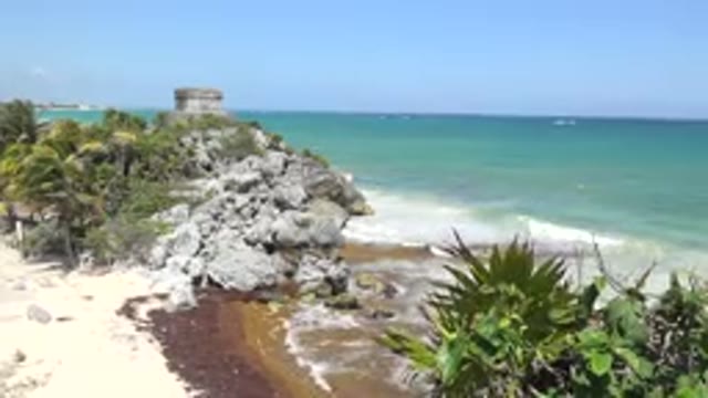 TULUM MEXICO-2015: Waves Roll In On Shore Between Pile Of Rocks And Palm Tree