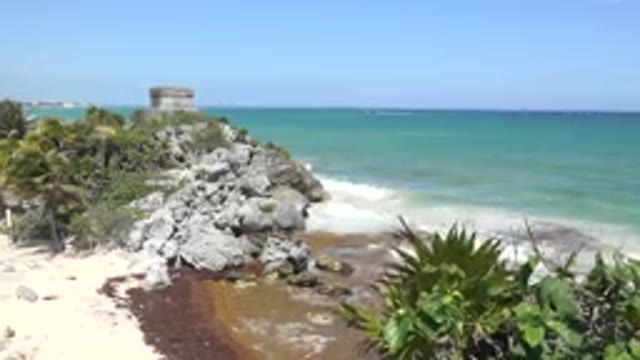 TULUM MEXICO-2015: Large Rocks and Palms Along a Beachside