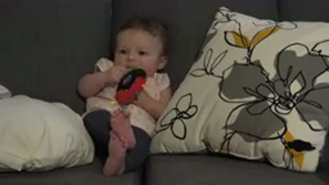 WESTMINSTER COLORADO-2015: Baby Drinking With Chubby Feet Crossed