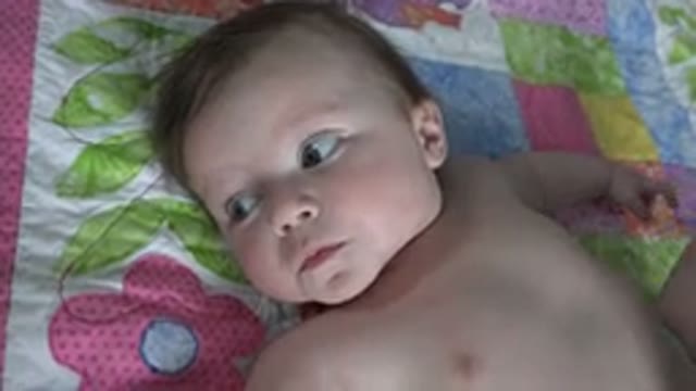 WESTMINSTER COLORADO-2015: Baby Lying On A Colorful Blanket Stares