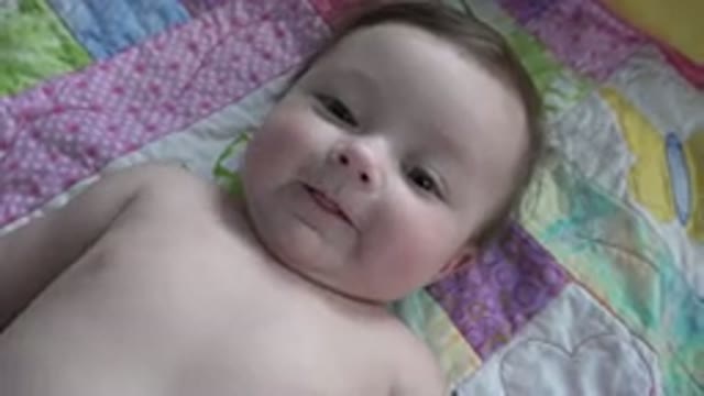 WESTMINSTER COLORADO-2015: A Sweet Baby Lying On His Quilt Looking Up With Eyes