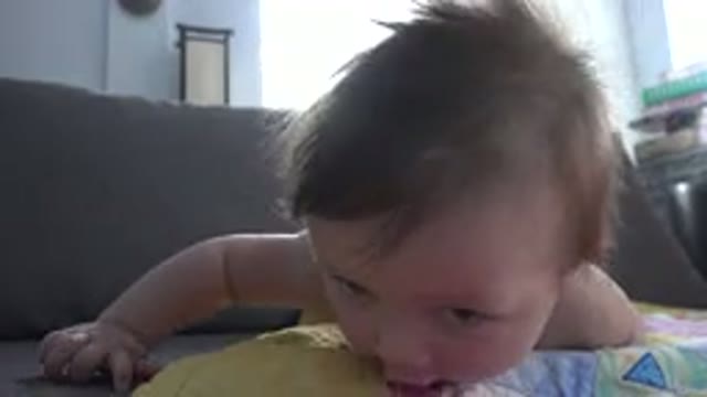 WESTMINSTER COLORADO-2015: Baby Trying To Move Around On The Floor
