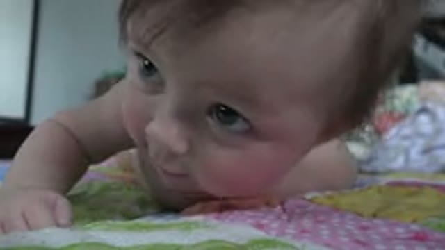WESTMINSTER COLORADO-2015: Adorable Blue Eyed Baby Looking Around While Doing Tummy Time
