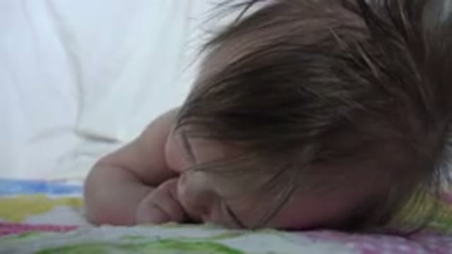 WESTMINSTER COLORADO-2015: Precious Baby Finds A Peaceful Place To Lay After
