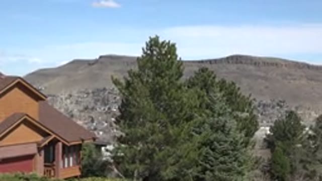 WESTMINSTER COLORADO-2015: Trees In The Meadow Area Near A Brown House On A