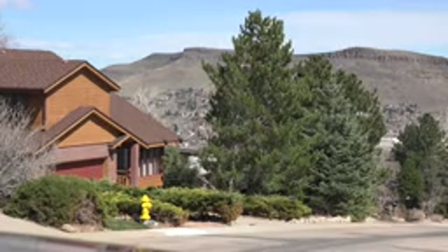 WESTMINSTER COLORADO-2015: Trees In The Wind On The Mountain Slope