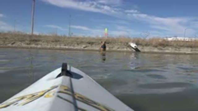 HIDDEN LAKE COLORADO-2015: Brown Dog Runs After White Boat In Water On A Sunny Day