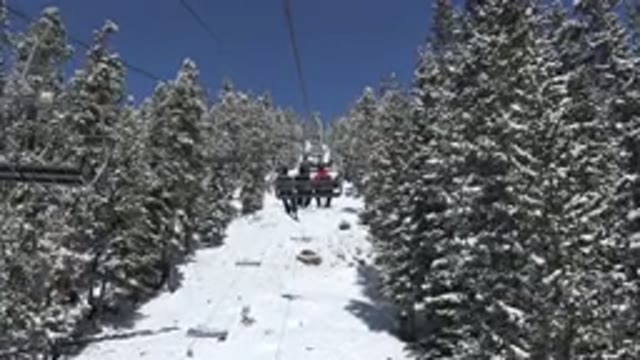 KEYSTONE COLORADO-2015: Passing Ski Lift Green Trees On A Sunny Day