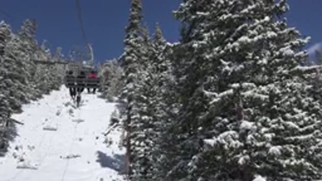KEYSTONE COLORADO-2015: Cable Car Ride Between Trees On Snowy Mountain In Winter