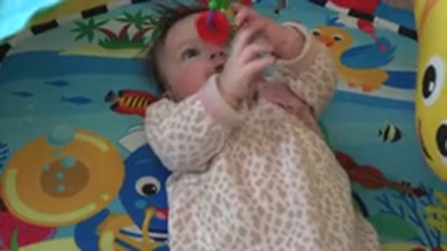WESTMINSTER COLORADO-2015: Newborn Playing With A Toy On The Bed