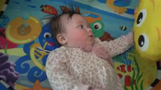WESTMINSTER COLORADO-2015: Baby Girl Playing With A Yellow Stuffed Fish While