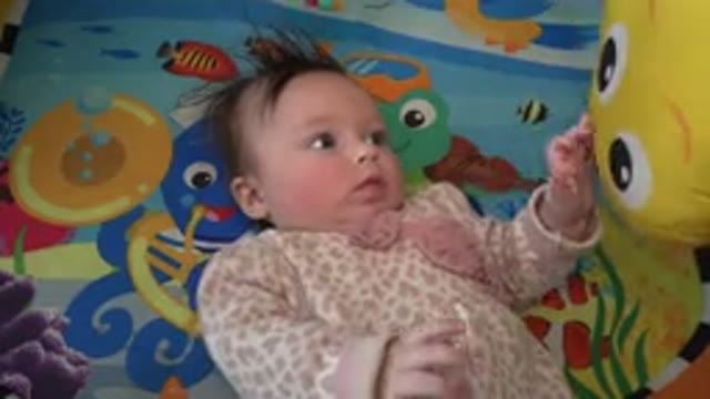 WESTMINSTER COLORADO-2015: Baby In Animal Print Jumper Enjoys Playing With A Toy