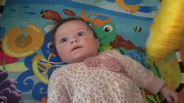 WESTMINSTER COLORADO-2015: A Baby Moving Around On Her Own Making Funny Faces
