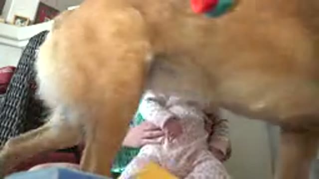 WESTMINSTER COLORADO-2015: How Beautiful the Kid Spends Time With Mother and