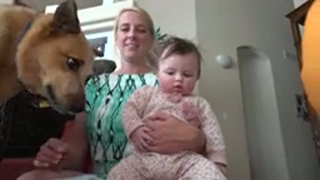 WESTMINSTER COLORADO-2015: Dog Handing Giraffe Toy To Mother With Baby On Lap