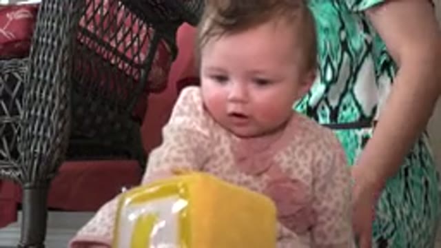 WESTMINSTER COLORADO-2015: Adorable Cute Baby Playing With A Toy