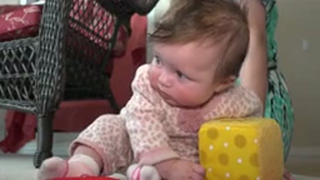 WESTMINSTER COLORADO-2015: Cute Amazing Child Plays With Soft Cheese Toy