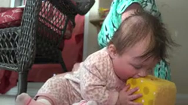 WESTMINSTER COLORADO-2015: A Baby Wearing Printed Rompers Is Sitting On The Floor Playing With Dice