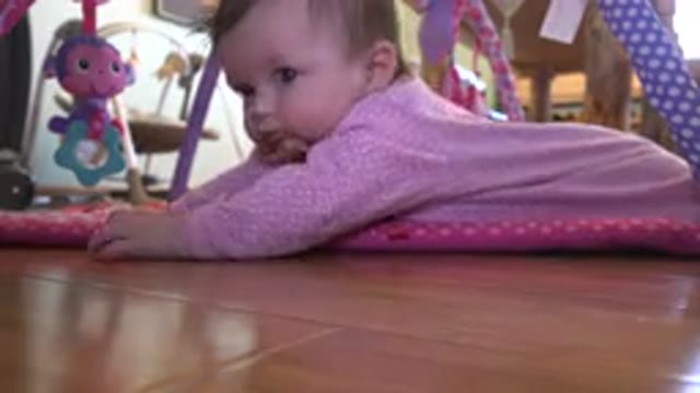 WESTMINSTER COLORADO-2015: A Small Baby in Pink Crawling and Looking at the Camera