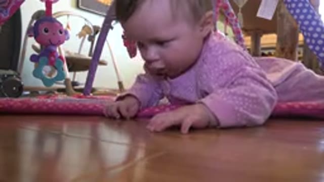 WESTMINSTER COLORADO-2015: Baby Wearing Pink Sleeper Looks at Wood Floor