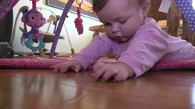 WESTMINSTER COLORADO-2015: Cute Baby in Pink Outfit Laying on Floor and Looking