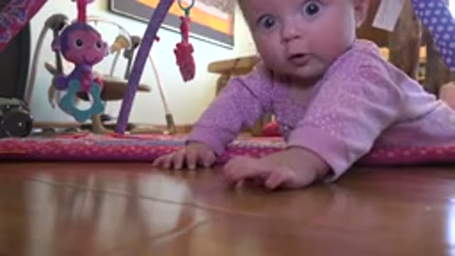 WESTMINSTER COLORADO-2015: Cute Baby Girl Playing on Floor with Curiosity and Love