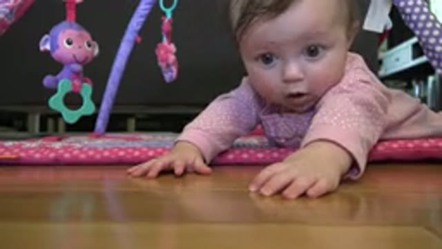 WESTMINSTER COLORADO-2015: Baby On Her Stomach On A Mat Looking Around At Her