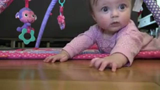 WESTMINSTER COLORADO-2015: Baby Learning To Play Alone On The Floor With Her