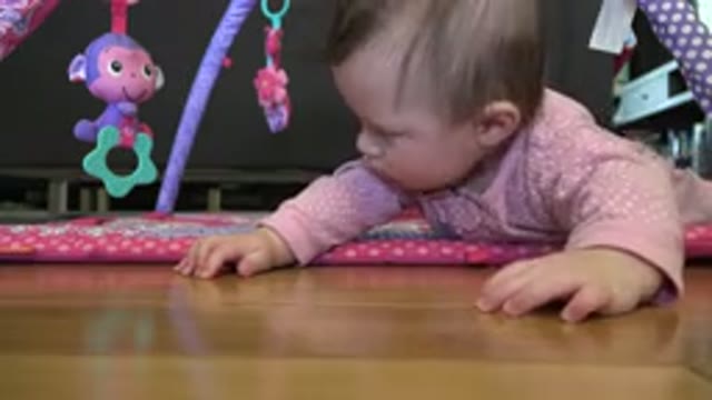 WESTMINSTER COLORADO-2015: A Small Toddler Lying On Her Park And Playing With Toys