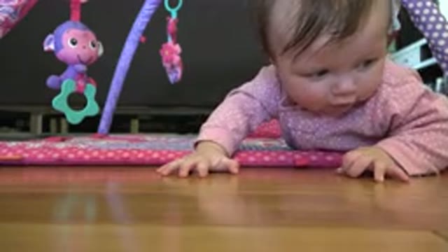 WESTMINSTER COLORADO-2015: A Little Kid Is Trying To Lift Up Itself From The Floor