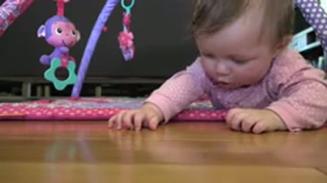 WESTMINSTER COLORADO-2015: Cute Babies Discovering the World