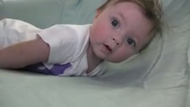 WESTMINSTER COLORADO-2015: Cute White Baby With Beautiful Big Round Blue Eyes