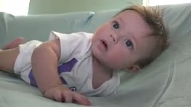 WESTMINSTER COLORADO-2015: Blue-Eyed Baby Moves Around Blue Couch