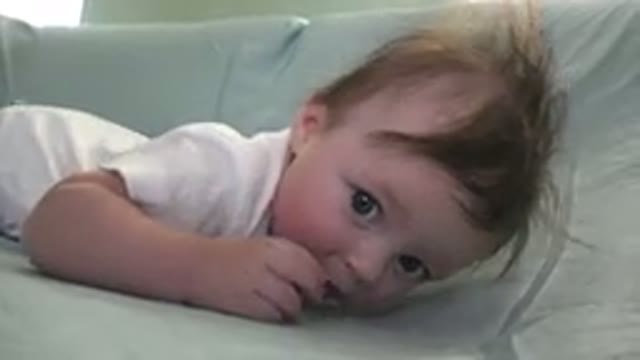 WESTMINSTER COLORADO-2015: Baby Fluffy With Big Clear Eyes Learning To Turn Over