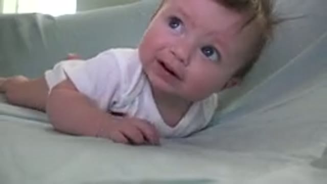WESTMINSTER COLORADO-2015: Hairy Baby in White Clothes Moving on a Covered Sofa