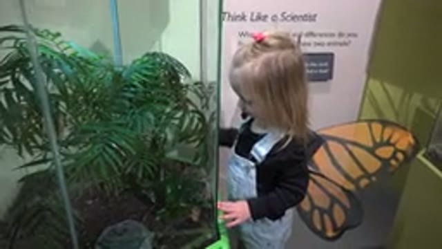 BROOMFIELD COLORADO-2016: Child Looking At Plants As Person Adjusts Costume