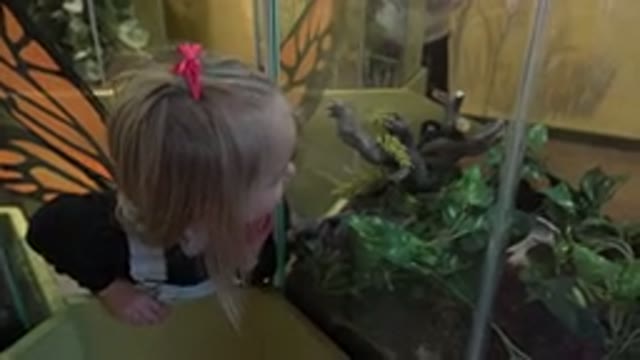 BROOMFIELD COLORADO-2016: Girl Wearing Black Shirt Looks At Indoor Glass Display
