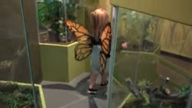 BROOMFIELD COLORADO-2016: Little Girl Exploring An Animal Exhibit
