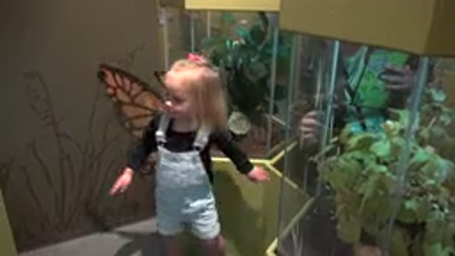 BROOMFIELD COLORADO-2016: A Little Girl Looking at Trees Through Glass