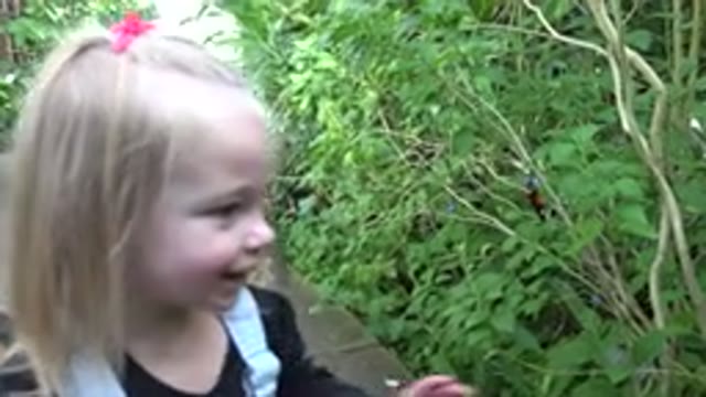 BROOMFIELD COLORADO-2016: Blonde Happy Kid In Butterfly Costume Exploring The Forest