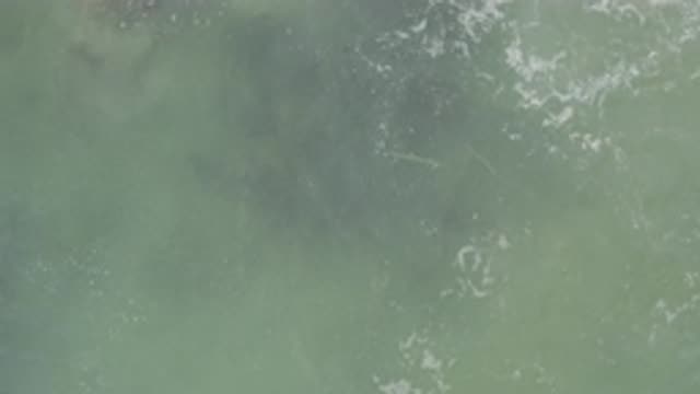 EAST CAPE BCS MEXICO-2017: Green And White Water Weaving And Showing Dark