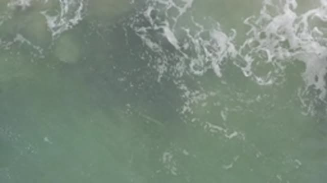 EAST CAPE BCS MEXICO-2017: The Water Of The Body Is Turbulent With White Froth