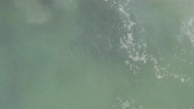 EAST CAPE BCS MEXICO-2017: Murky Green Ocean Flowing With Debris And Waves
