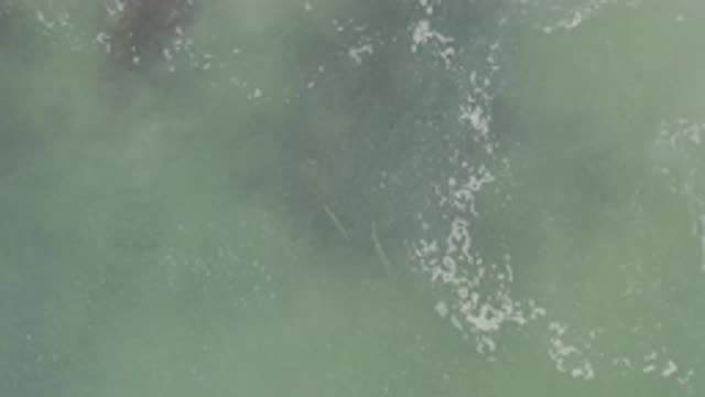 EAST CAPE BCS MEXICO-2017: Water In A Pool Of Water Or Pond Or Ocean Sways And Ripples